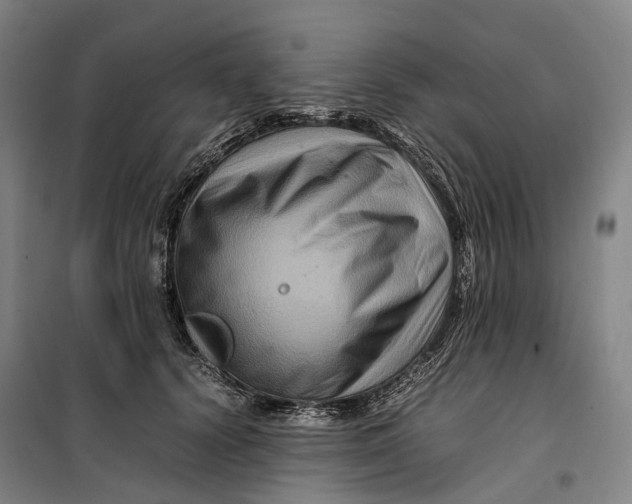 X0000099570656200806061604
