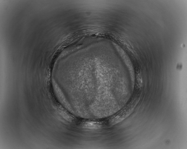 X0000099570657200806061604