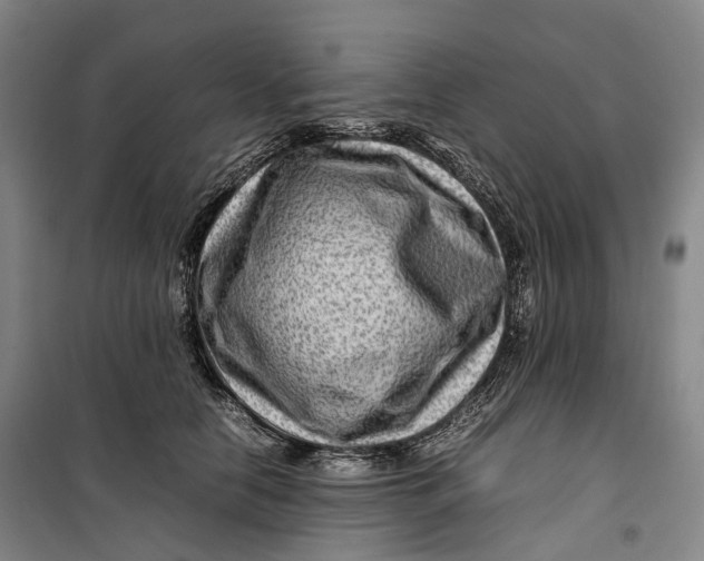 X0000099570658200806061604