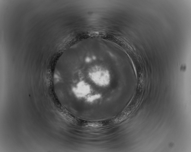 X0000099570659200806061604