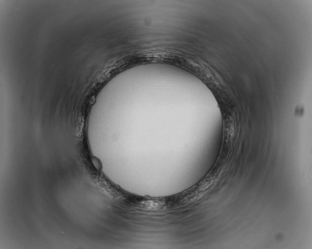 X0000099570660200806061604