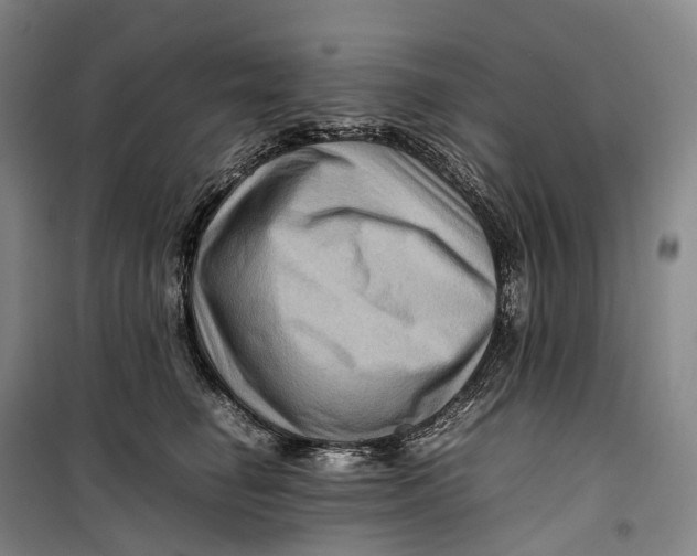 X0000099570662200806061604