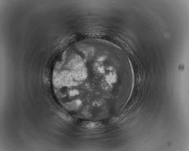X0000099570663200806061604