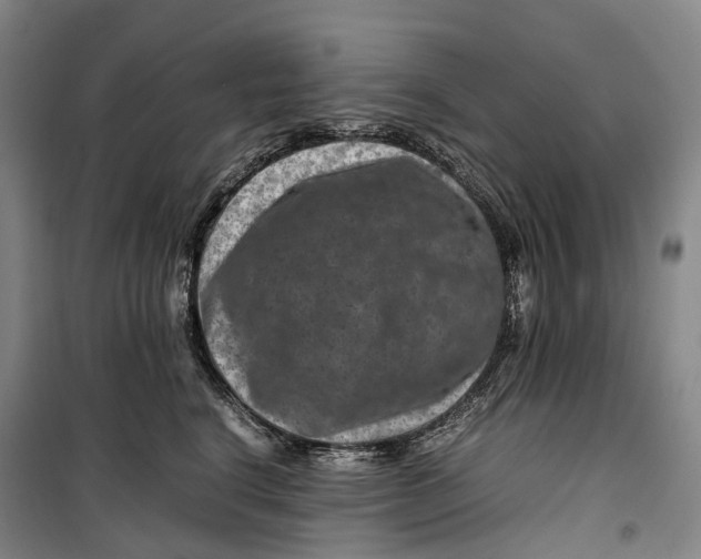 X0000099570664200806061604