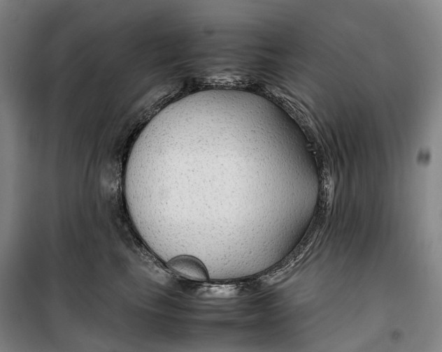 X0000099570665200806061604