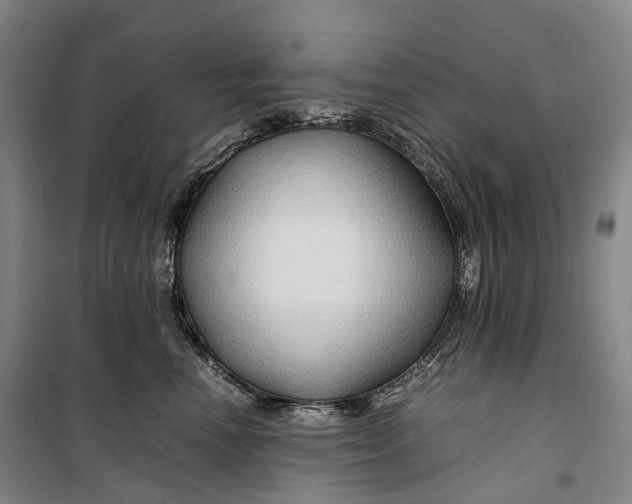 X0000099570666200806061604