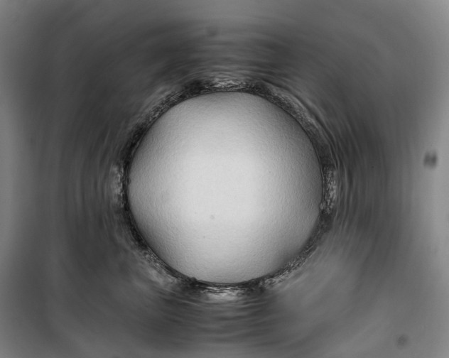 X0000099570667200806061604