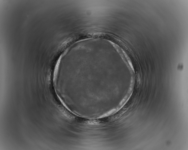 X0000099570668200806061604