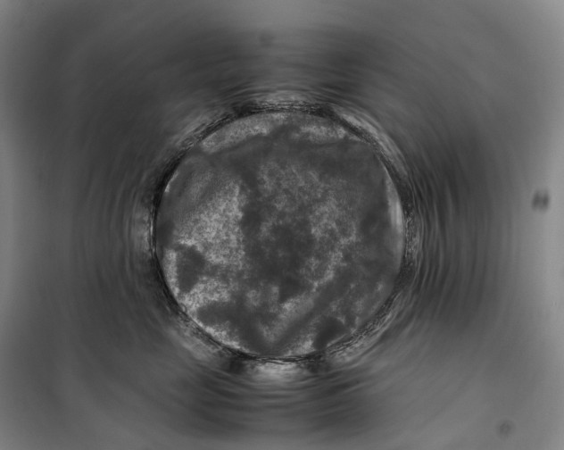 X0000099570669200806061604