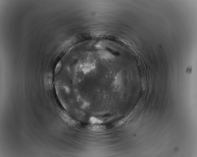 X0000099570670200806061604