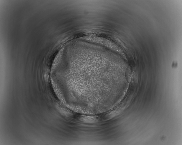 X0000099570671200806061604