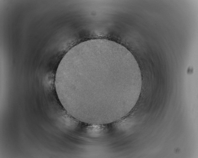 X0000099570672200806061604
