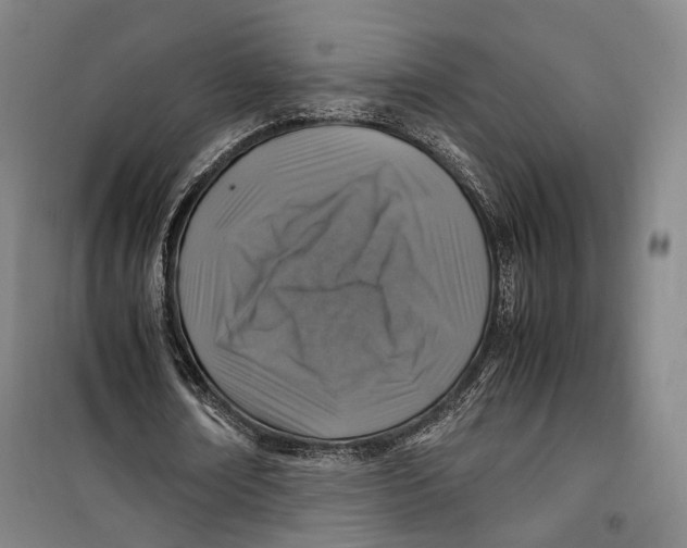 X0000099570674200806061603