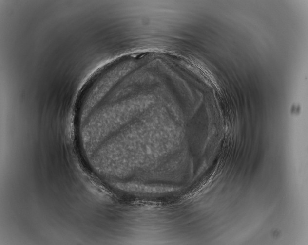 X0000099570676200806061603