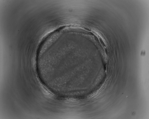 X0000099570677200806061603