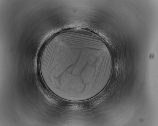 X0000099570678200806061603