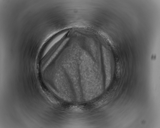 X0000099570680200806061603