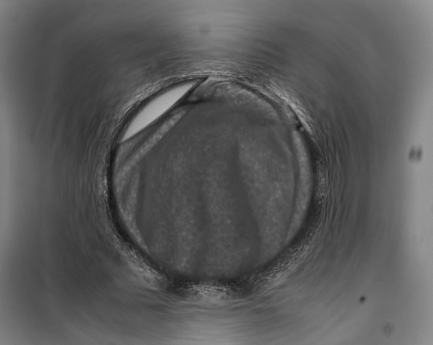 X0000099570681200806061603