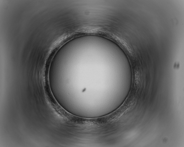 X0000099570682200806061603