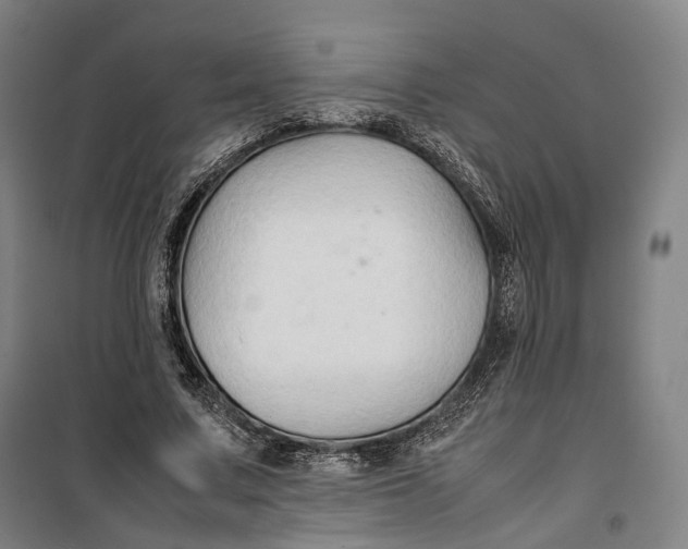 X0000099570683200806061603