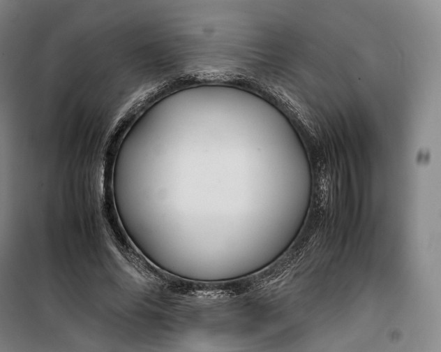X0000099570686200806061603