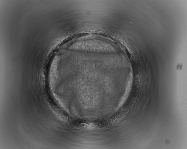 X0000099570688200806061603