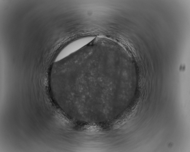 X0000099570689200806061603