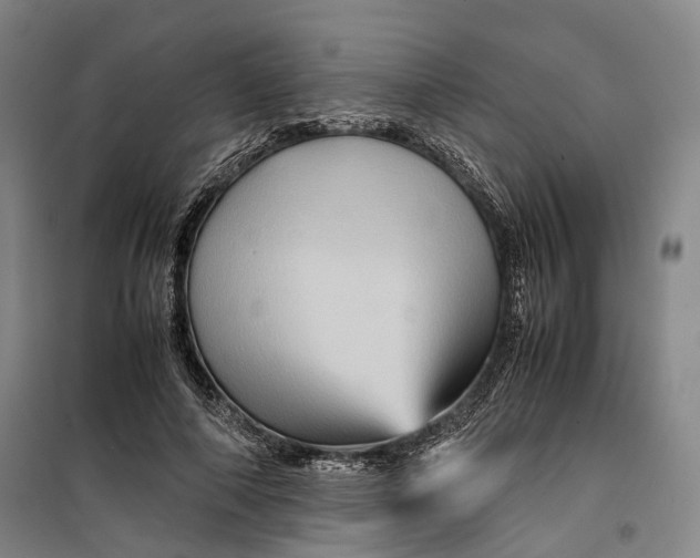 X0000099570690200806061603