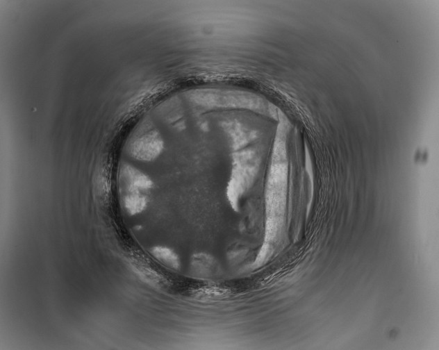 X0000099570691200806061603