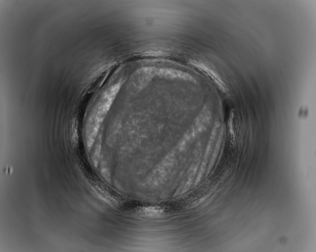 X0000099570692200806061603