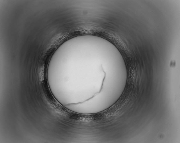 X0000099570694200806061603