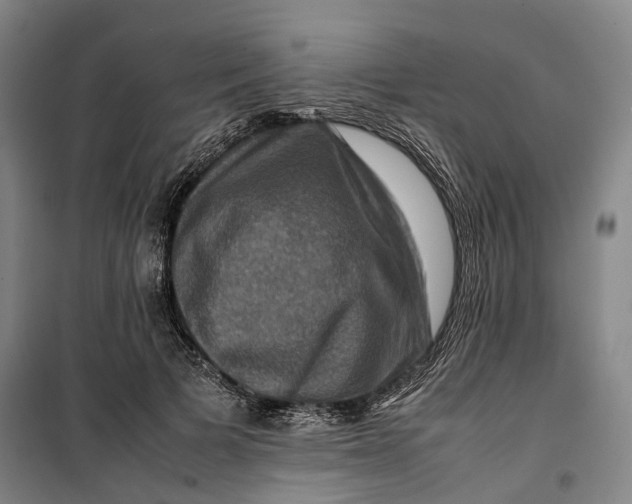 X0000099570697200806061603