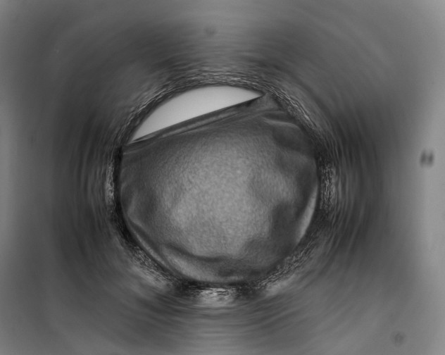 X0000099570700200806061603