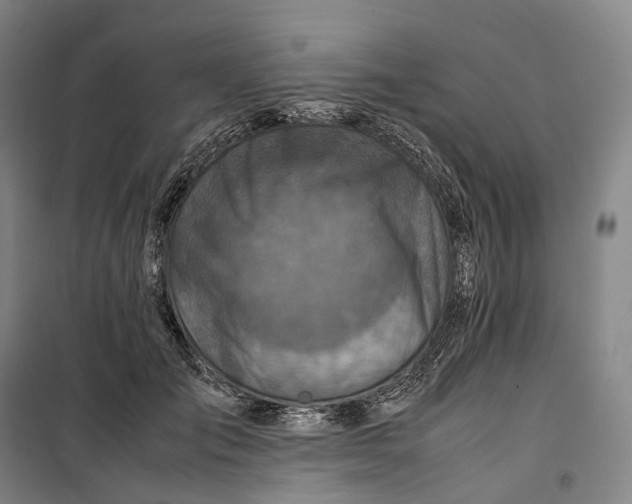 X0000099570701200806061603