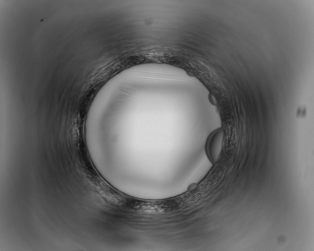 X0000099570702200806061603