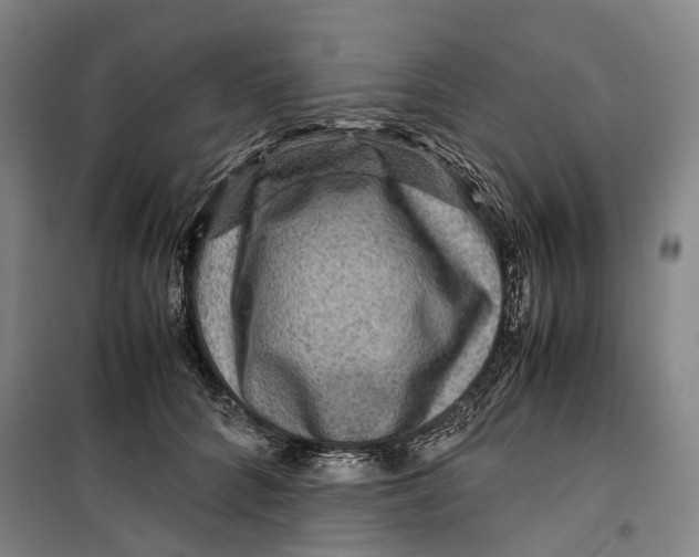 X0000099570704200806061603