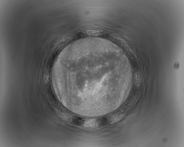 X0000099570705200806061603