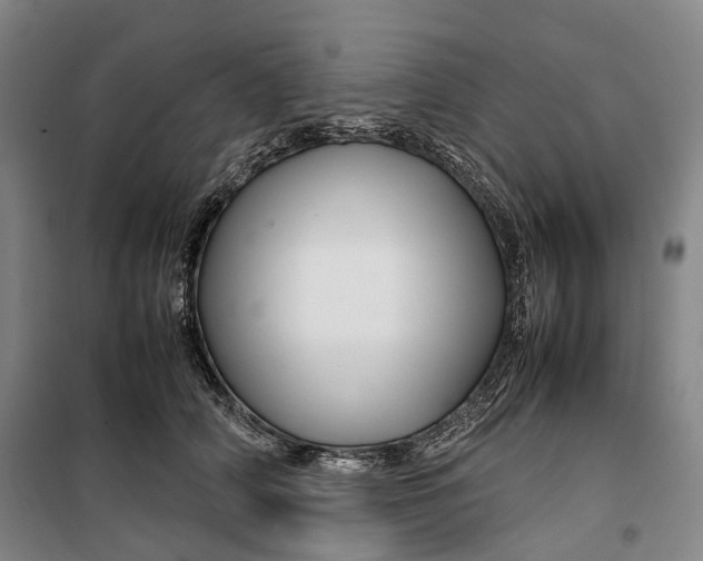 X0000099570706200806061603