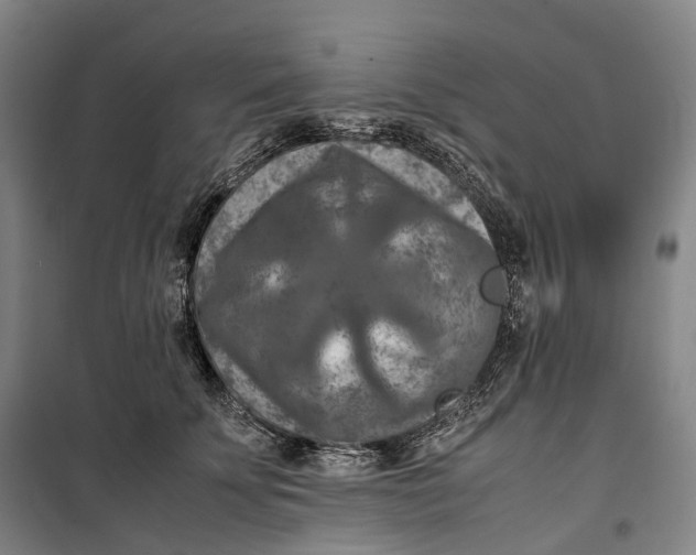 X0000099570707200806061603