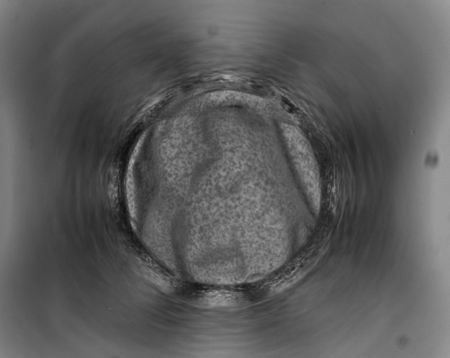 X0000099570708200806061603