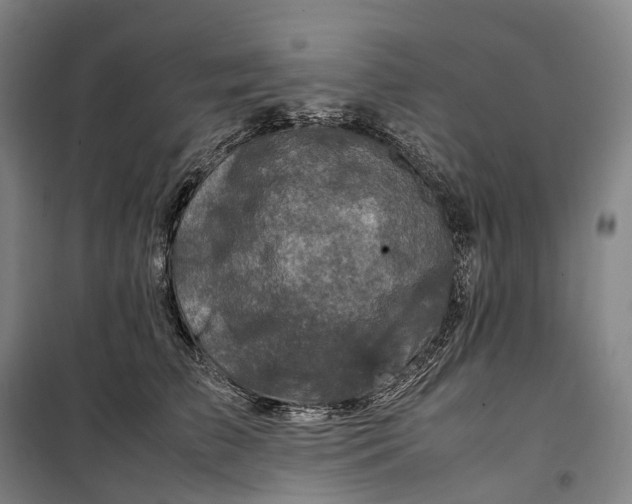 X0000099570709200806061603