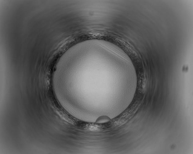 X0000099570710200806061603