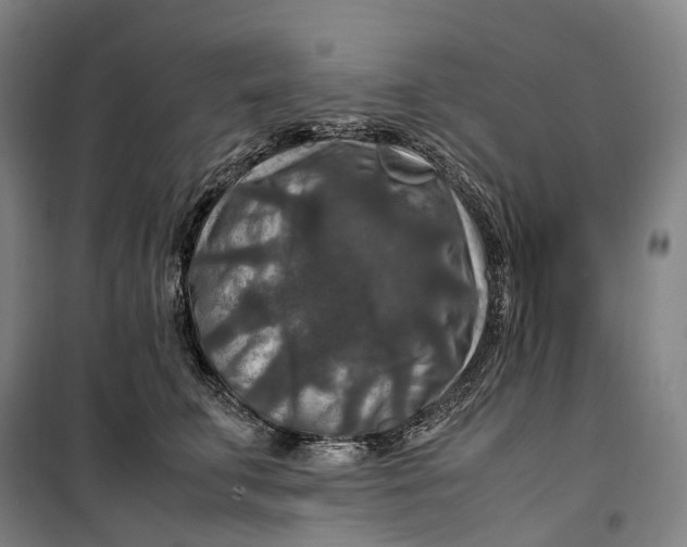 X0000099570711200806061603