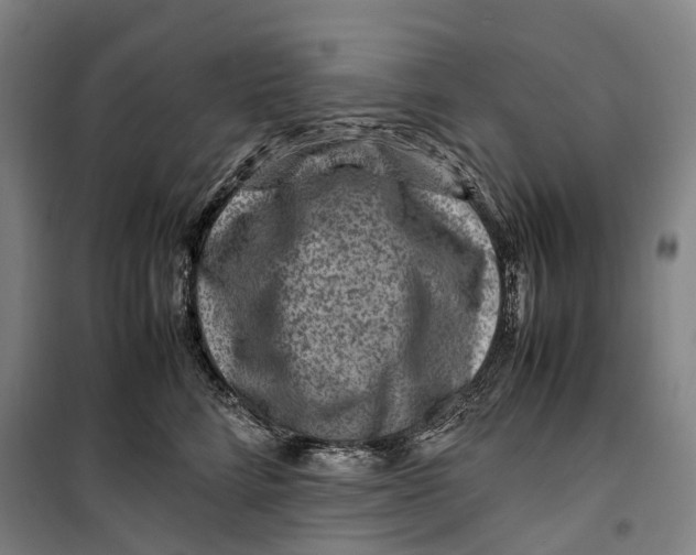 X0000099570712200806061603