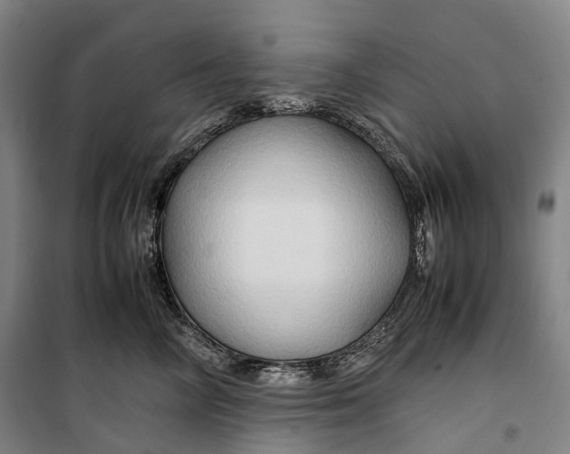 X0000099570714200806061603