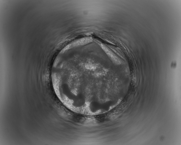 X0000099570715200806061603