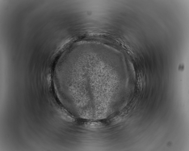 X0000099570716200806061603