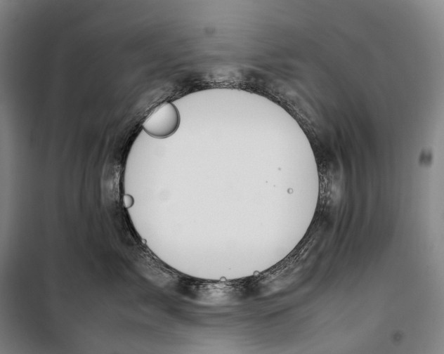 X0000099570717200806061603