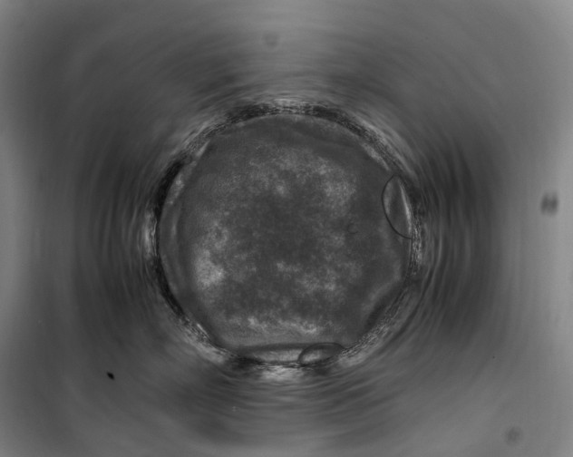 X0000099570718200806061603