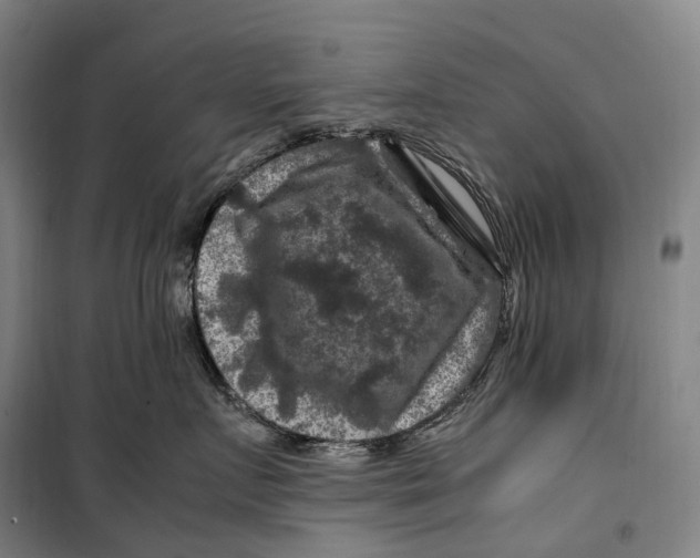X0000099570719200806061603